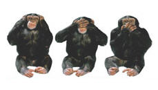 monkey
