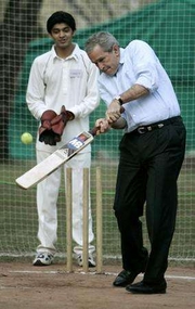 cricket.jpg