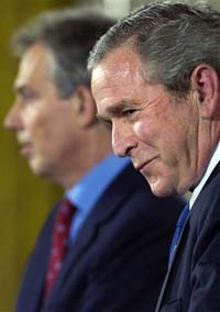 the smirking chimp