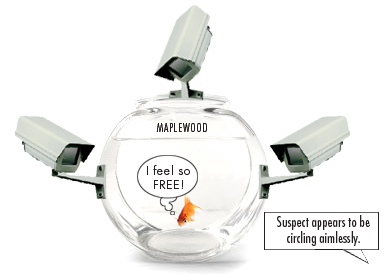 Fishbowl_W.jpg