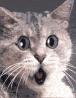 Shocked!