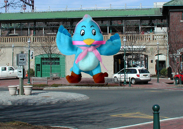 bluebird_w.jpg