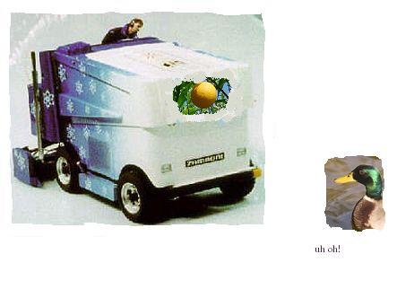 zam