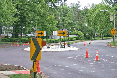 Traffic Calming Device