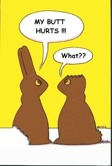 bunnies